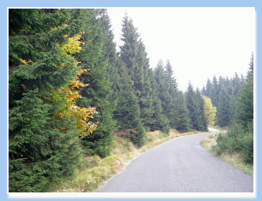 20-22.10.2006 NAROZENINY-JIZERKY 035
